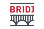 Bridj