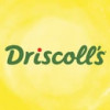 Driscoll's