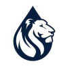 Blue Lion Labs