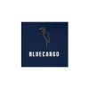 BlueCargo