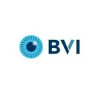 BVI Medical