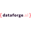 Dataforge.ai