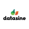 datasine