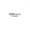 Deep Robotics