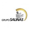 Grupo Salinas